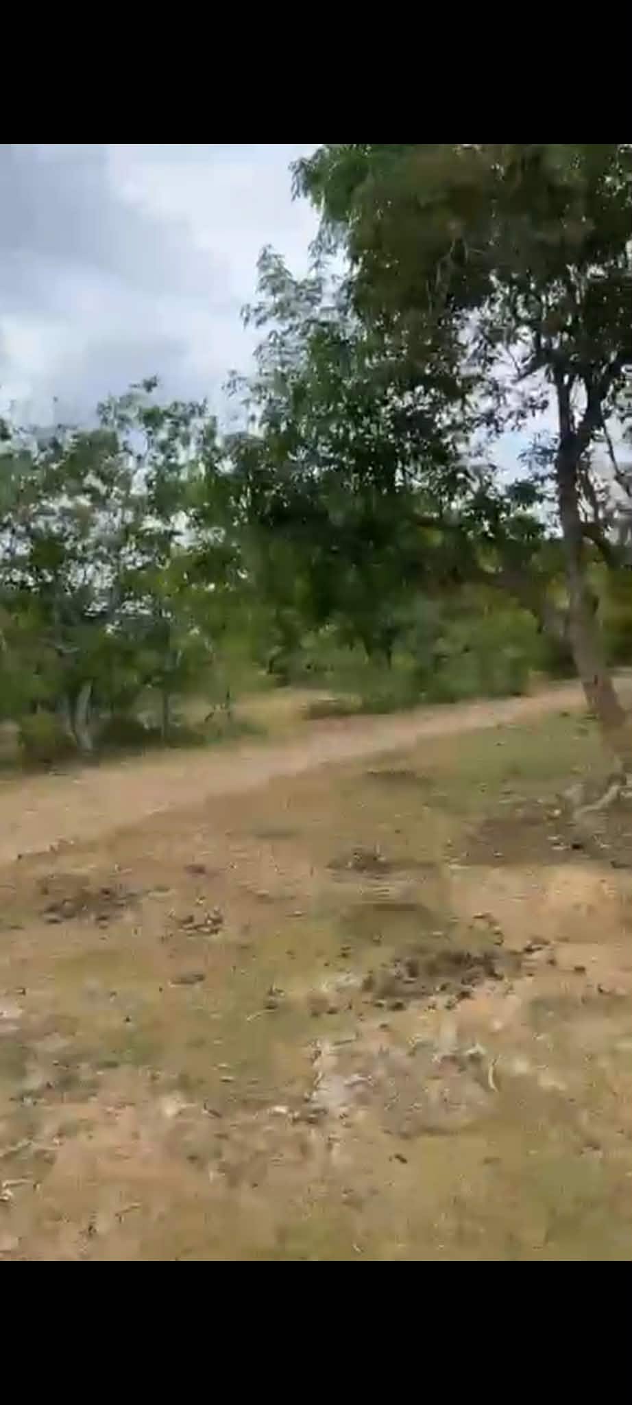 779320852_948570870832703_4635845199543927373_n